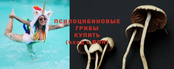 бошки Рославль