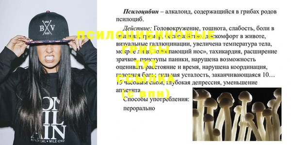 бошки Рославль